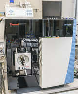 TSQ Quantiva Triple Quadrupole Mass Spectrometer