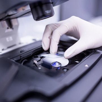 Czech bio-imaging facilities have joined Euro-BioImaging ERIC