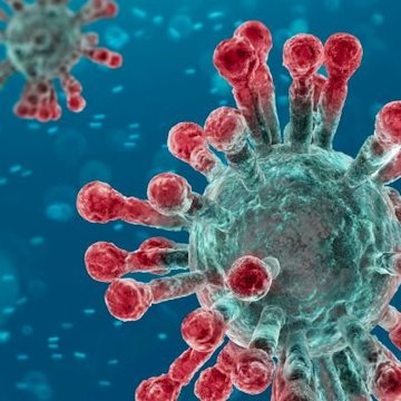 Čeští vědci se podíleli na vývoji nového testu, který prokazuje přítomnost koronaviru