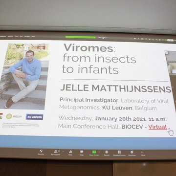 Lecture: Viromes: from insects to infants