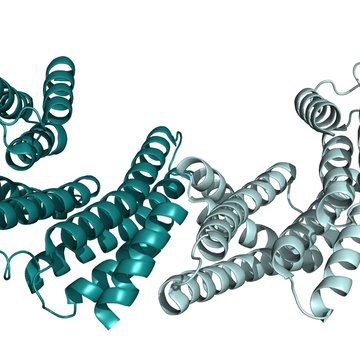 Strukturní biologie signálních proteinů