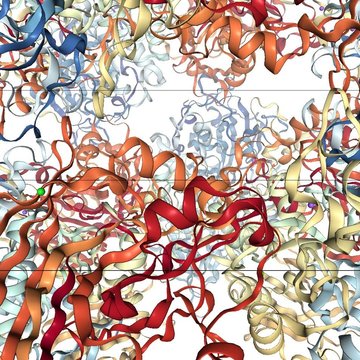 Struktura lékařsky a biotechnologicky důležitých enzymů