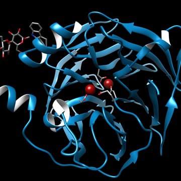 Intermolekulární rozpoznávání proteinů a nukleových kyselin