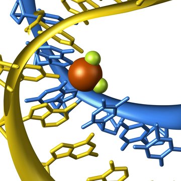 Strukturní proteiny a jejich komplexy