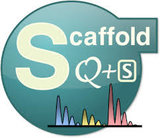 Scaffold Q+S 4.6.1