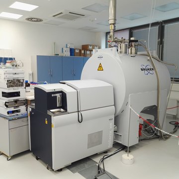 Head of Research Infrastructure Unit – Centre of Molecular Structure