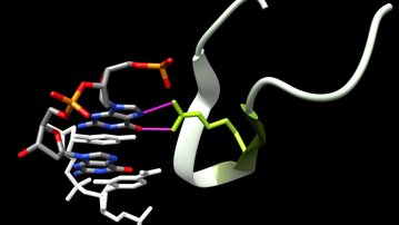 Nabídka pracovní pozice: Postdoktorand – Laboratoř biomolekulárního rozpoznávání