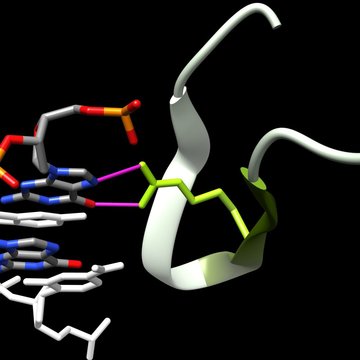 Nabídka pracovní pozice: Postdoktorand – Laboratoř biomolekulárního rozpoznávání