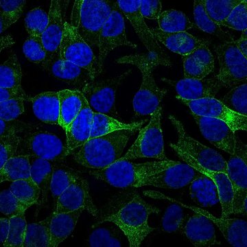 Do projektu česko-americké spolupráce se zapojí také výzkumné týmy BIOCEV