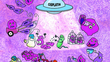 Review of Michal Masařík´s team on the unexpected therapeutic effects of cisplatin on the cover page of the Metallomics