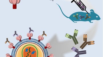 Proteins mimicking epitopes of broadly neutralizing antibodies as a promising way for development of HIV-1/AIDS vaccine