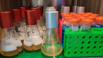 Centrum molekulární struktury nabízí novou službu "Protein Production"