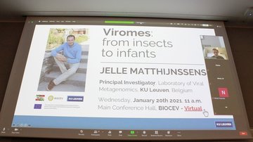 Lecture: Viromes: from insects to infants