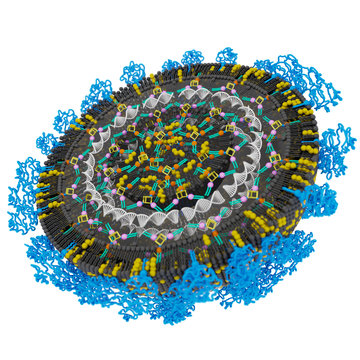 Discovery of a universal system for transporting nucleic acids into cells