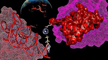 A new perspective on how early protein-RNA interactions evolved