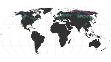 Where to find the most symbionts of plant roots