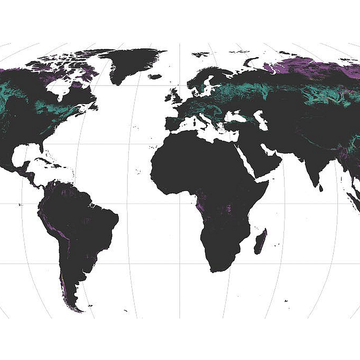 Where to find the most symbionts of plant roots