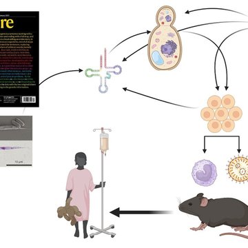 Prestižní ERC Synergy grant putuje na MBÚ a BC