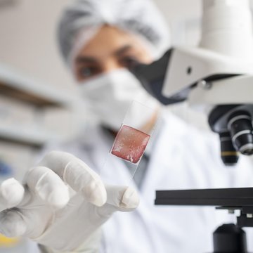 Játra při regeneraci přetvářejí toxický amoniak na látku podporující růst